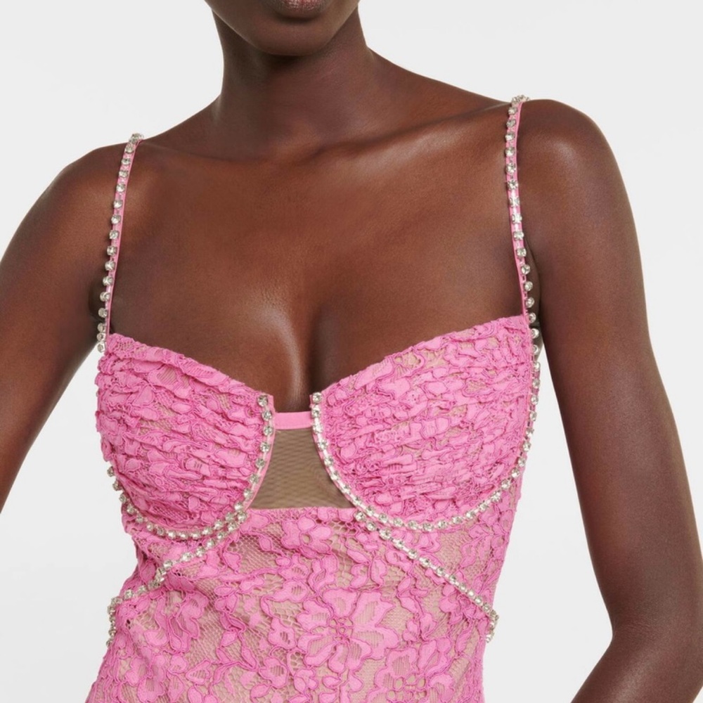 Self-Portrait Pink Lace Dress